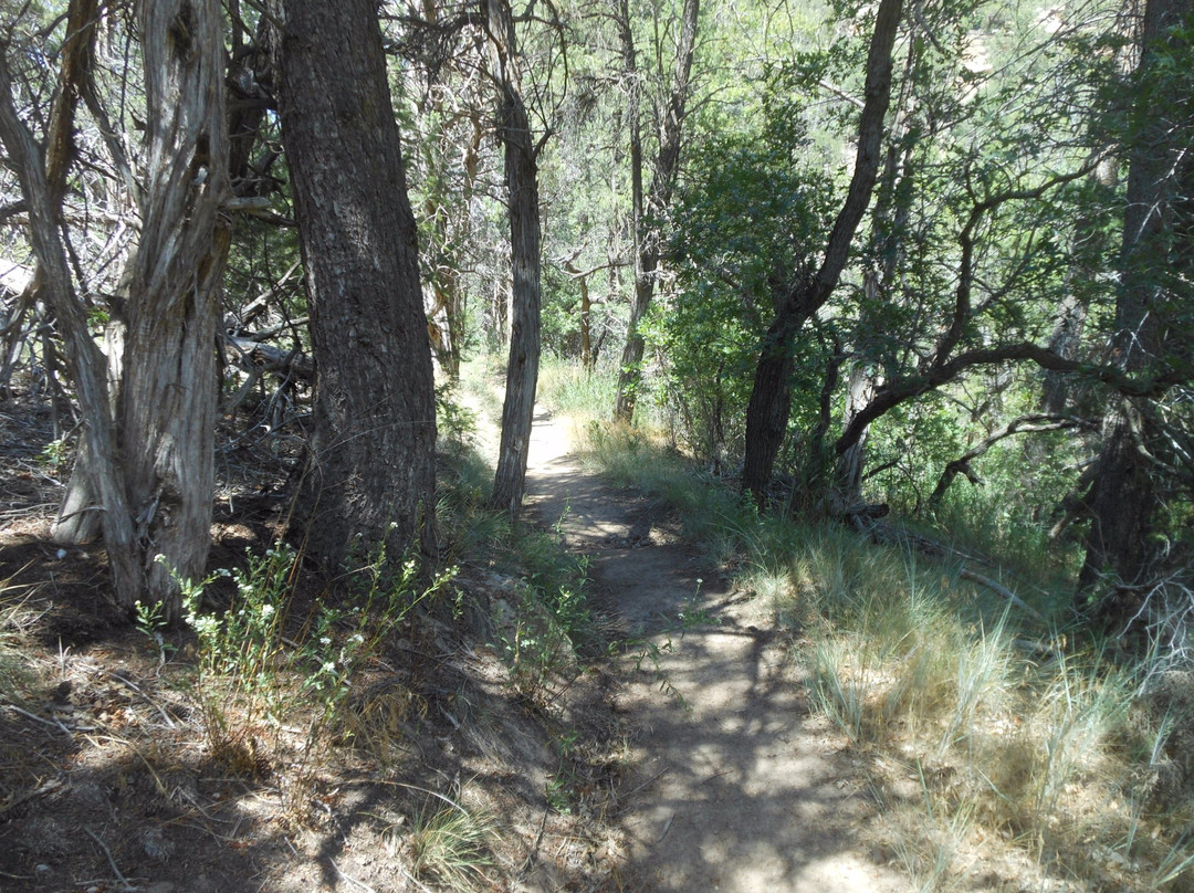 Spruce Canyon Trail-梅萨维德国家公园必去景点