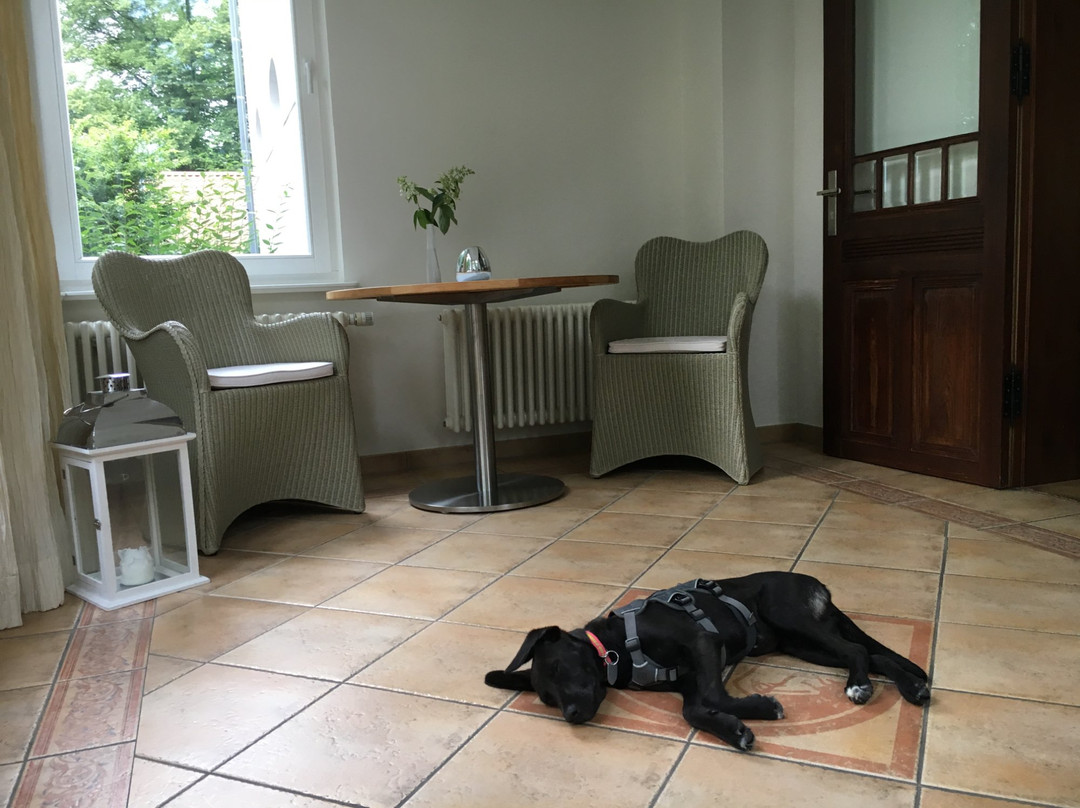 Bleckede酒店住宿-VillMa Villa am Markttor