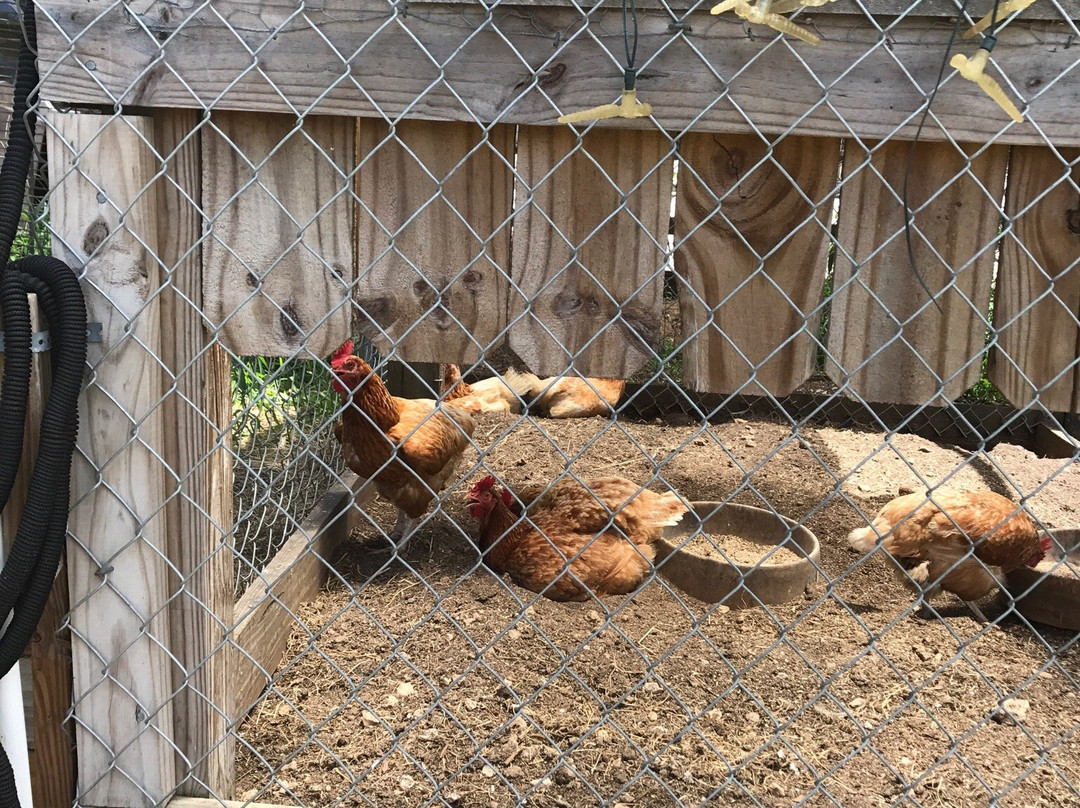 Phil's Berry Farm-迈阿密必去景点