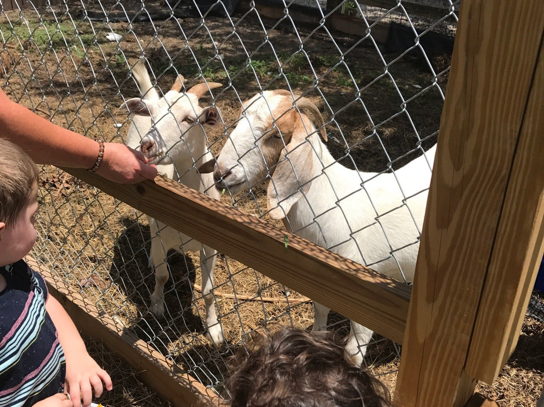 Phil's Berry Farm-迈阿密必去景点