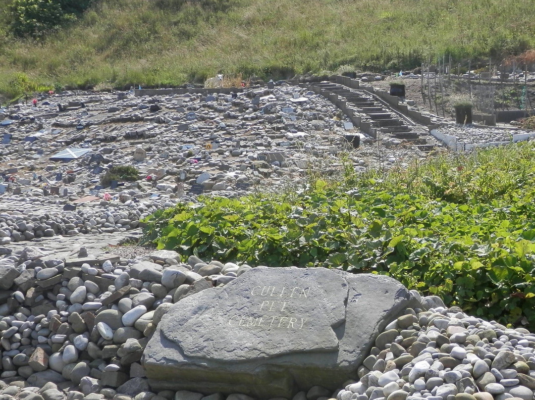 Cullen Pet Cemetery, Cullen-Cullen必去景点
