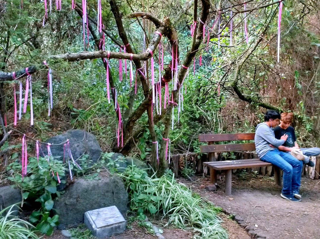Los Algarrobos Parque Ecologico景点图片