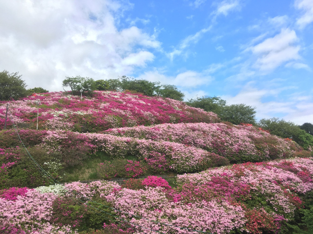 Mt.Tomisu Park-大洲市必去景点