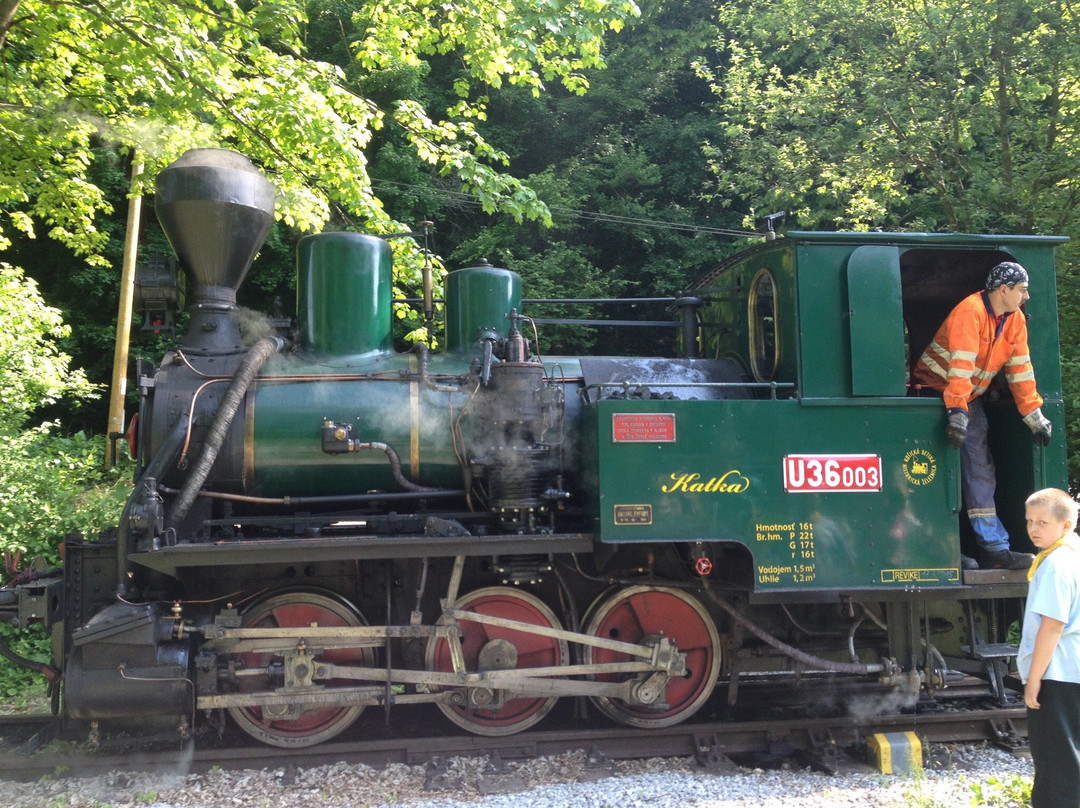 Kosice Children´s Historic Railway-科希策必去景点