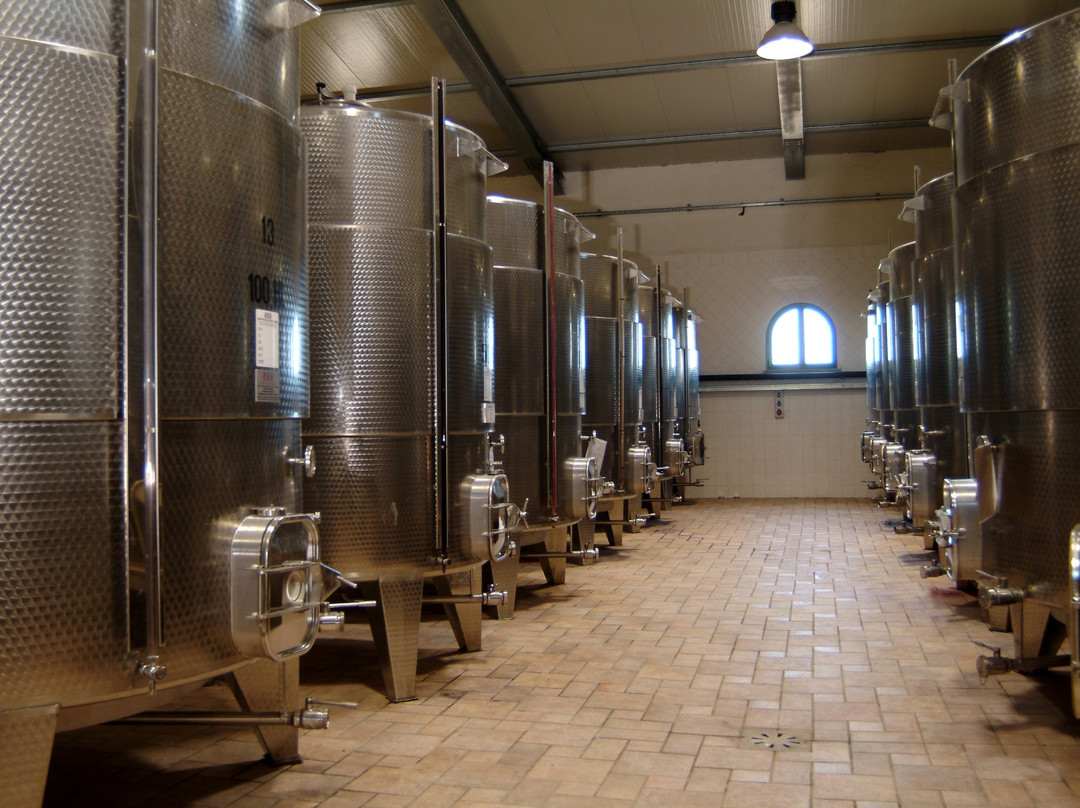 Domaine De Canta Rainette-La Motte必去景点