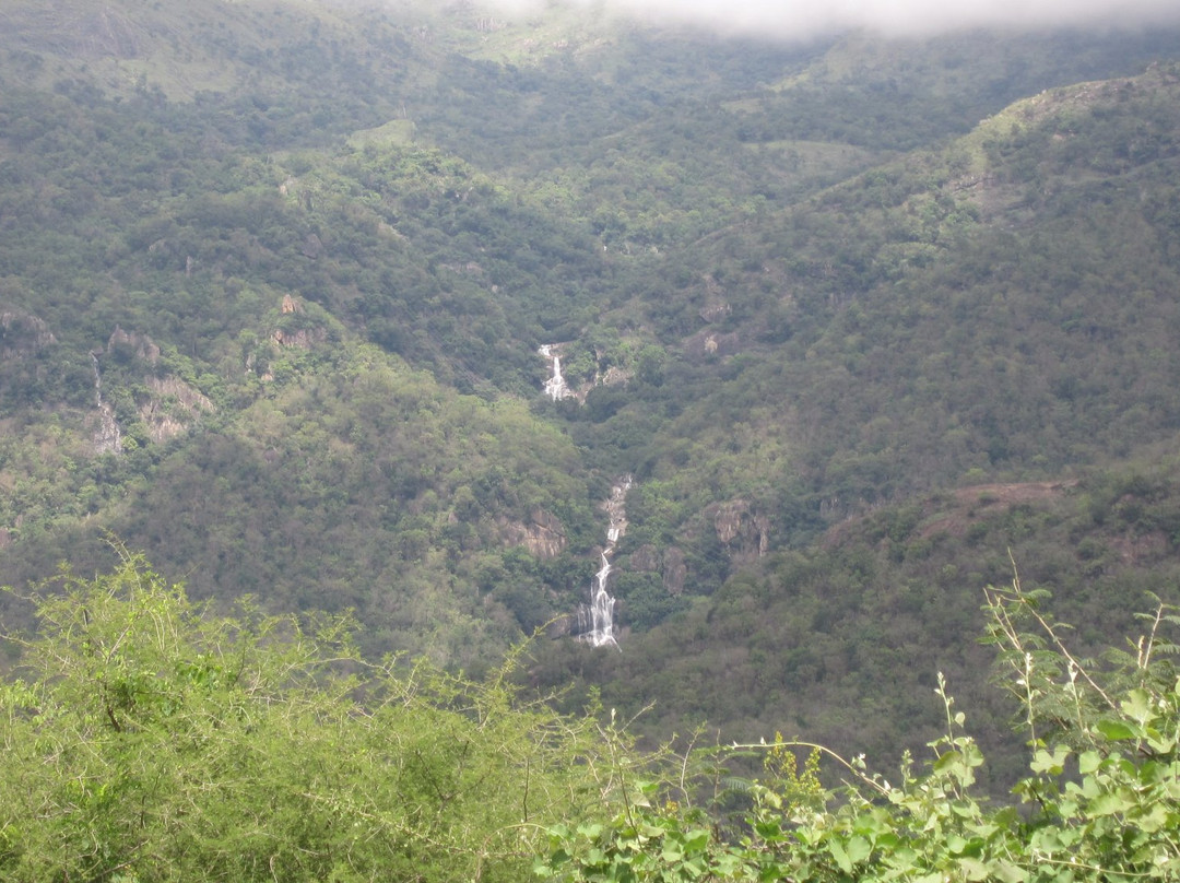 Ayyanar Falls-Rajapalayam必去景点