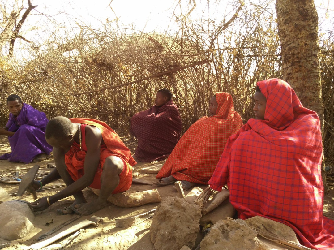 Awesome Wild Adventures-Dar es Salaam必去景点