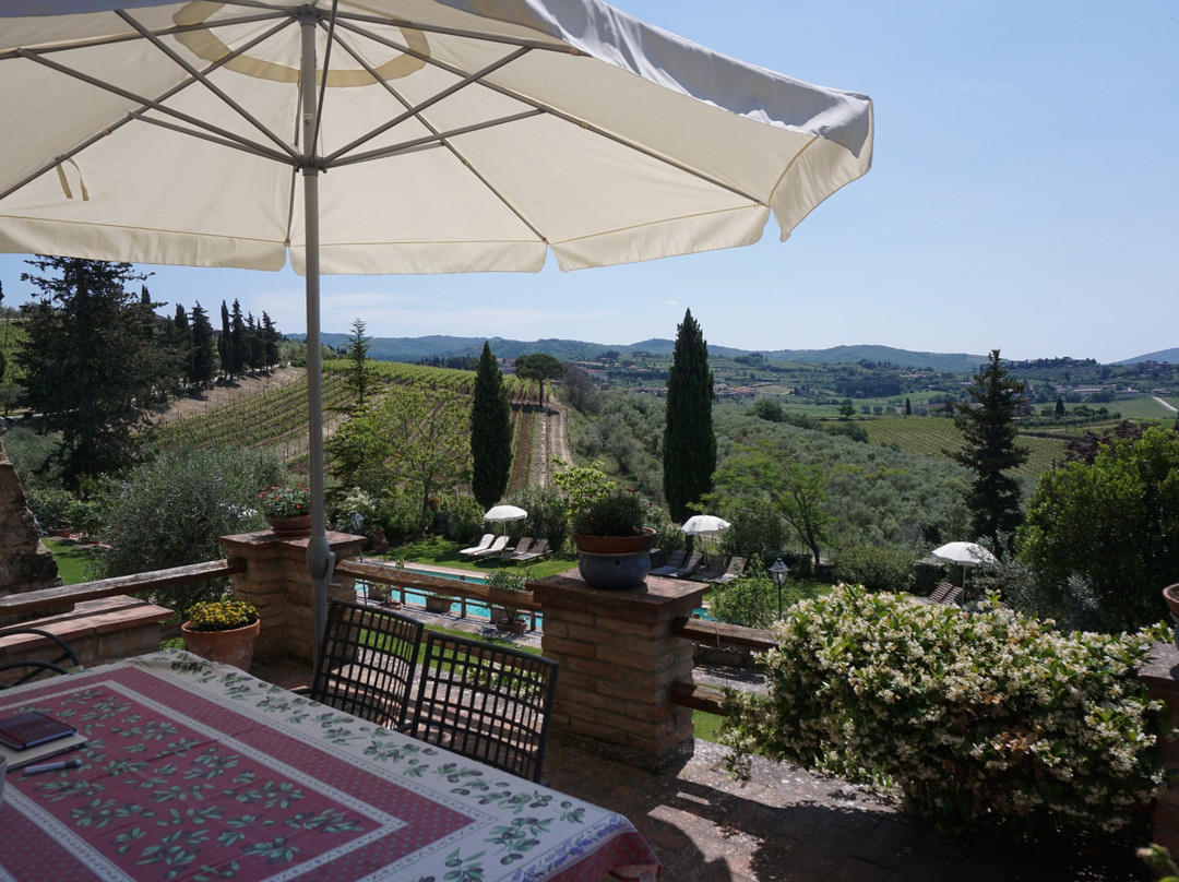 Azienda Agricola Il Palagio di Panzano景点图片