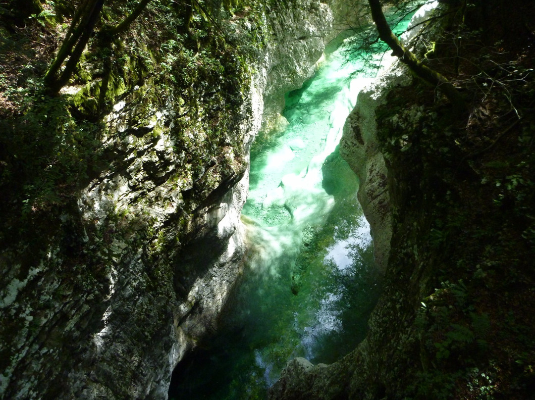 4Lander Canyoning - Acqua Park Pradis景点图片