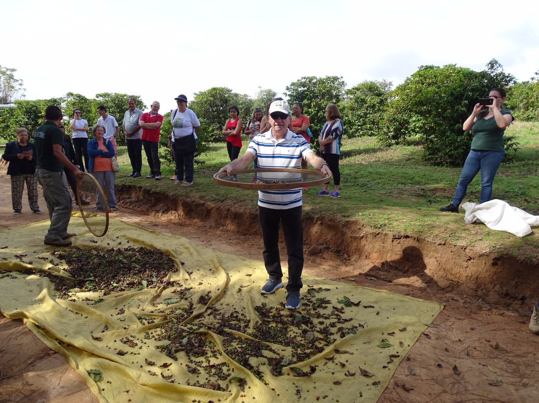 Fazenda Santo Antonio da Bela Vista-伊图必去景点
