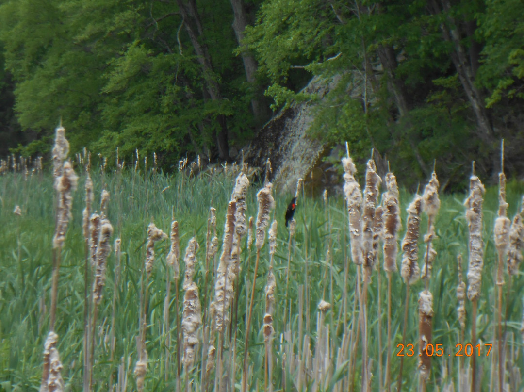 Pawling Appalachian Trail-Pawling必去景点