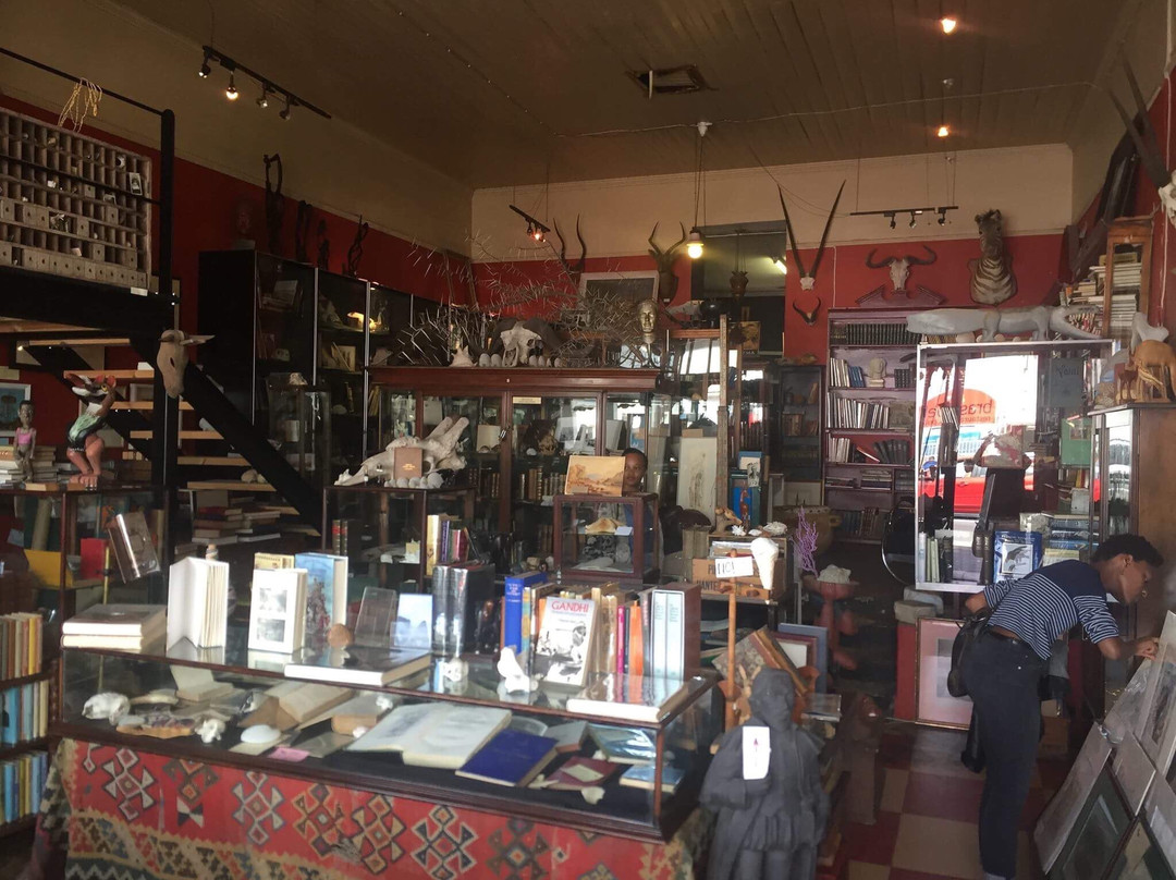 Quagga Rare Books and Art-Kalk Bay必去景点