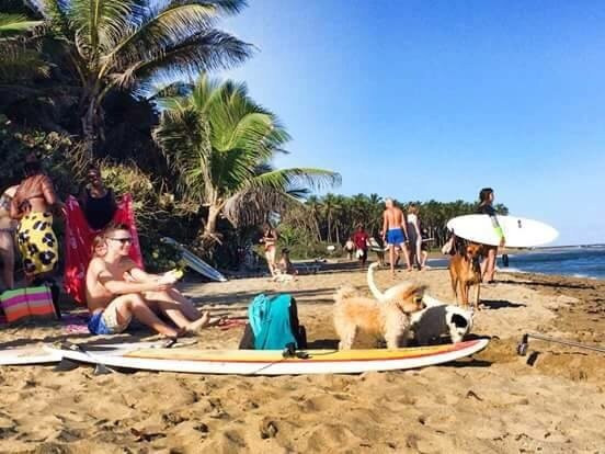 Vibez Surf Club-喀巴里特必去景点