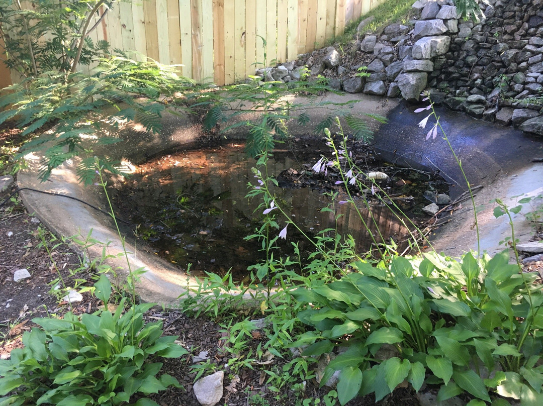 Casey Jones Mini Golf-Jackson必去景点