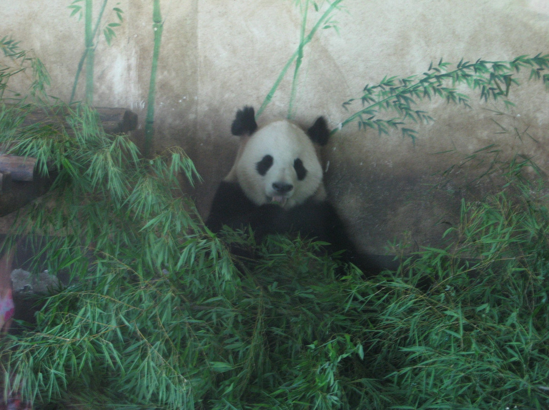 长沙生态动物园-长沙市必去景点