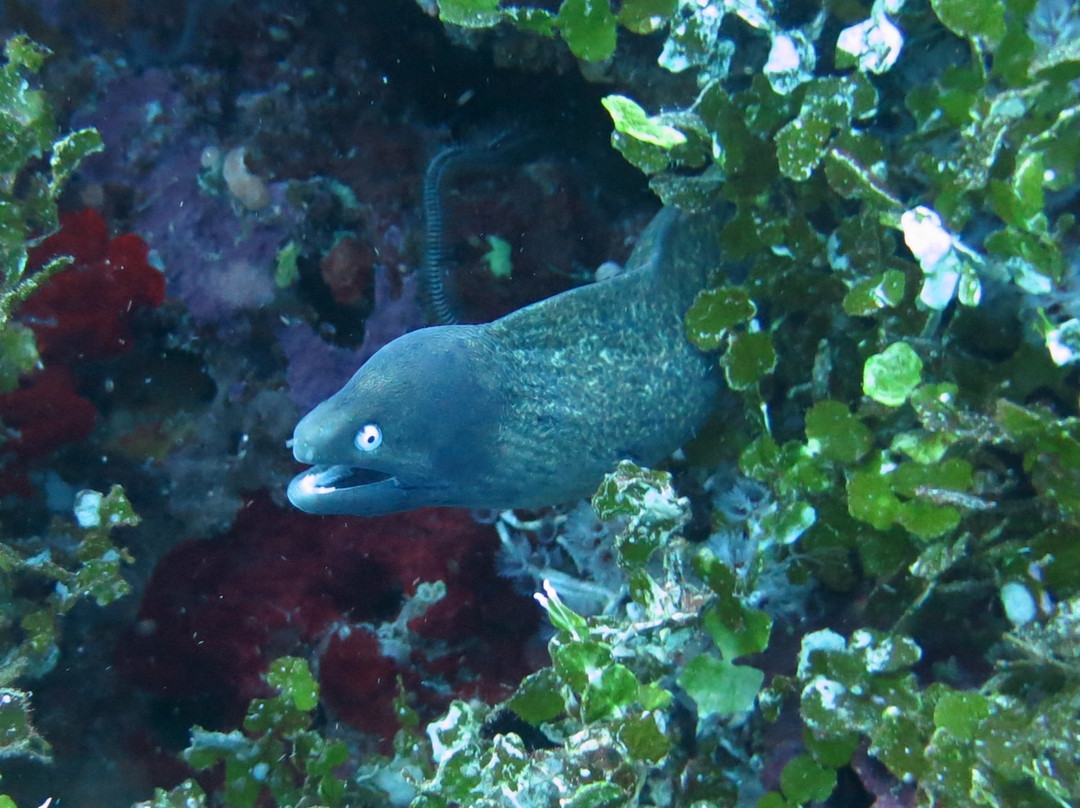 Arko Beach-邦劳岛必去景点