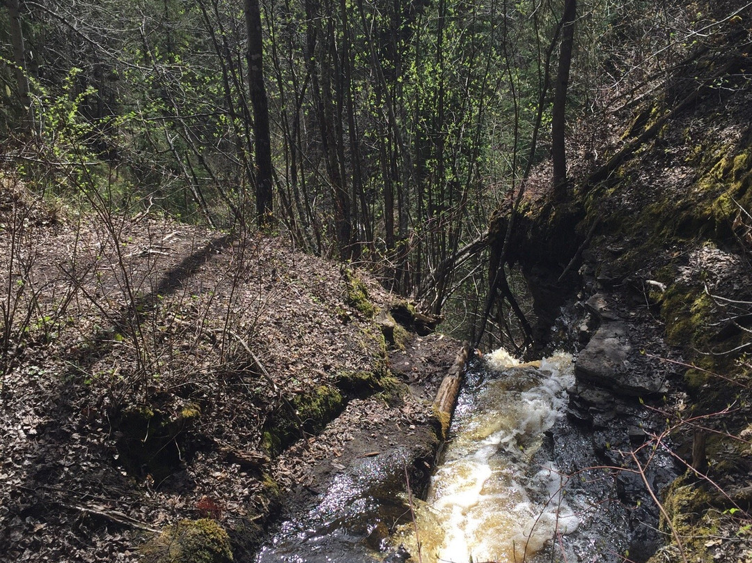 Bergeron Falls-Tumbler Ridge必去景点