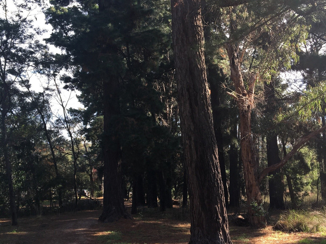 RE Gray Reserve-鲁纳沃丁必去景点