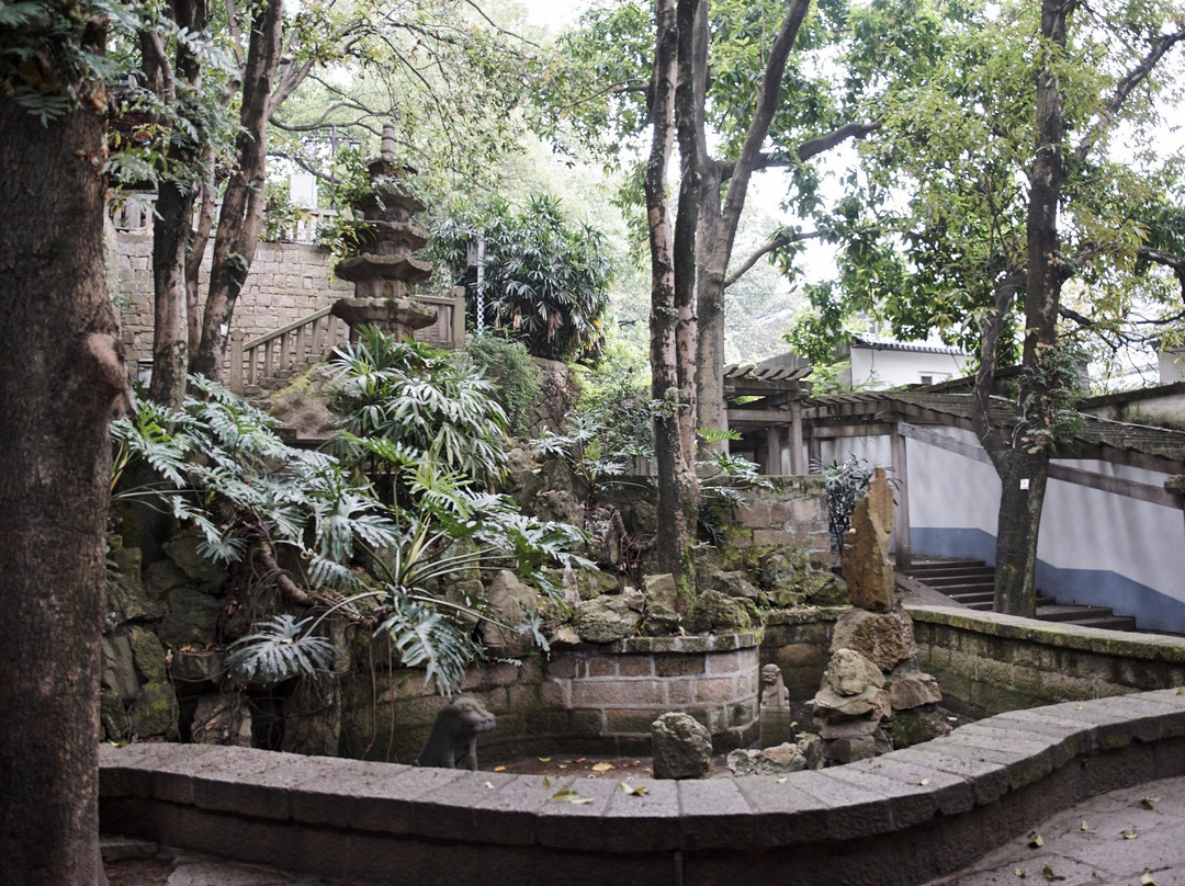 定光塔寺景点图片