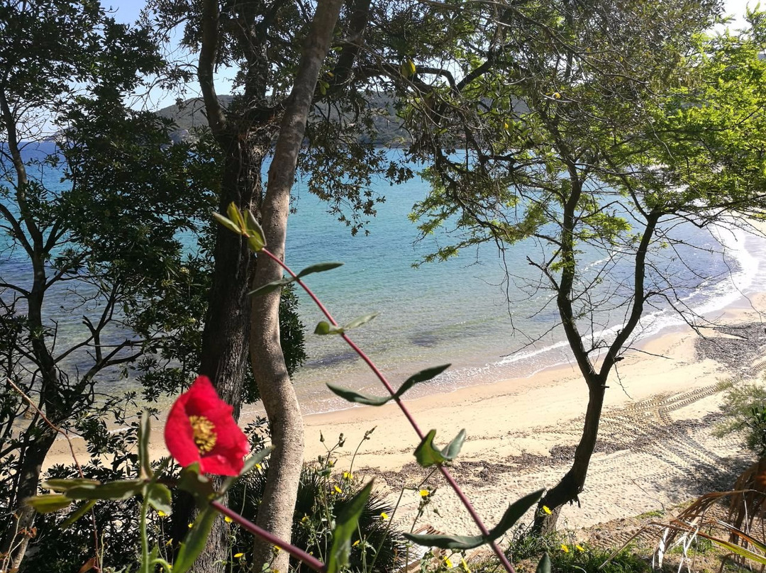 Albergo dei 10 Colori