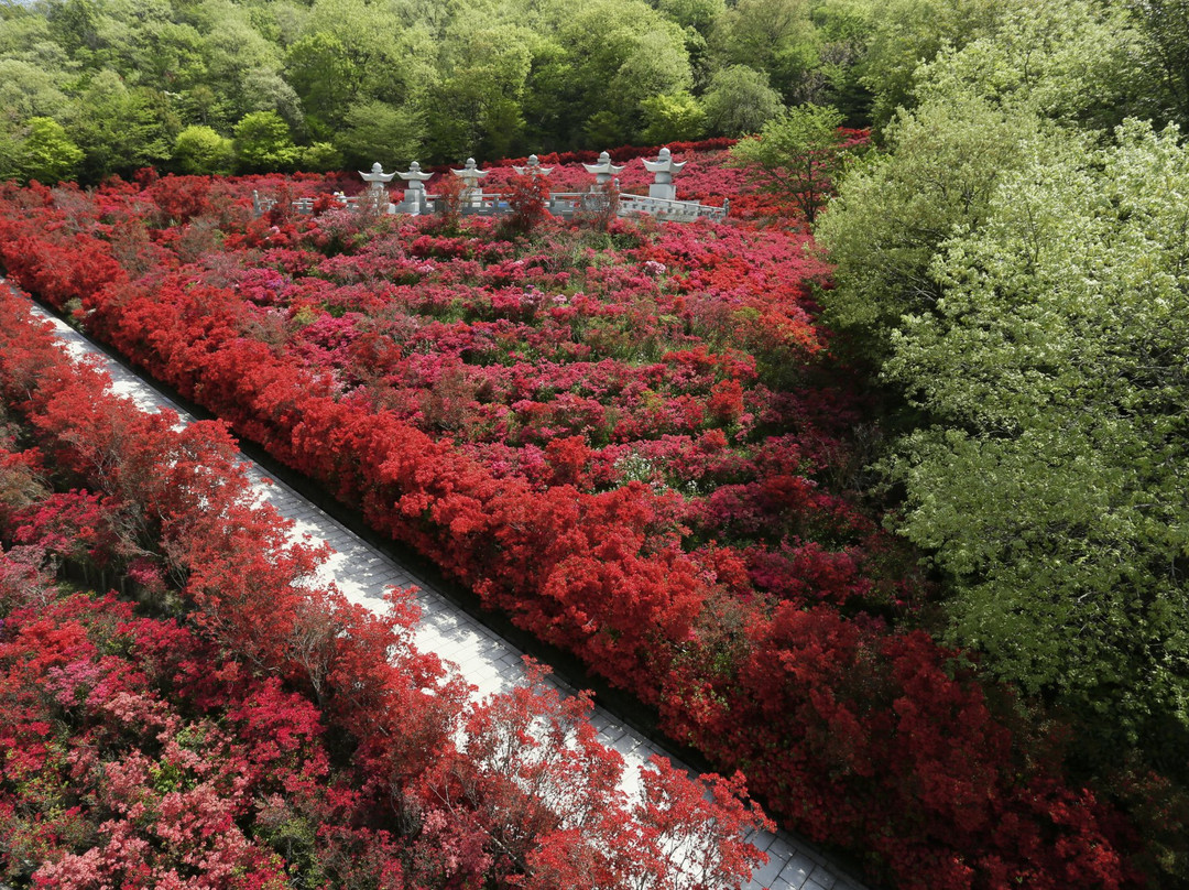 The Royal Grand Hall of Buddhism-加东市必去景点