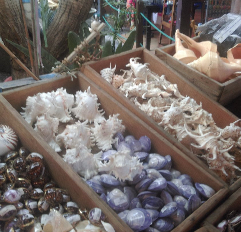 Tienda de Garachico景点图片