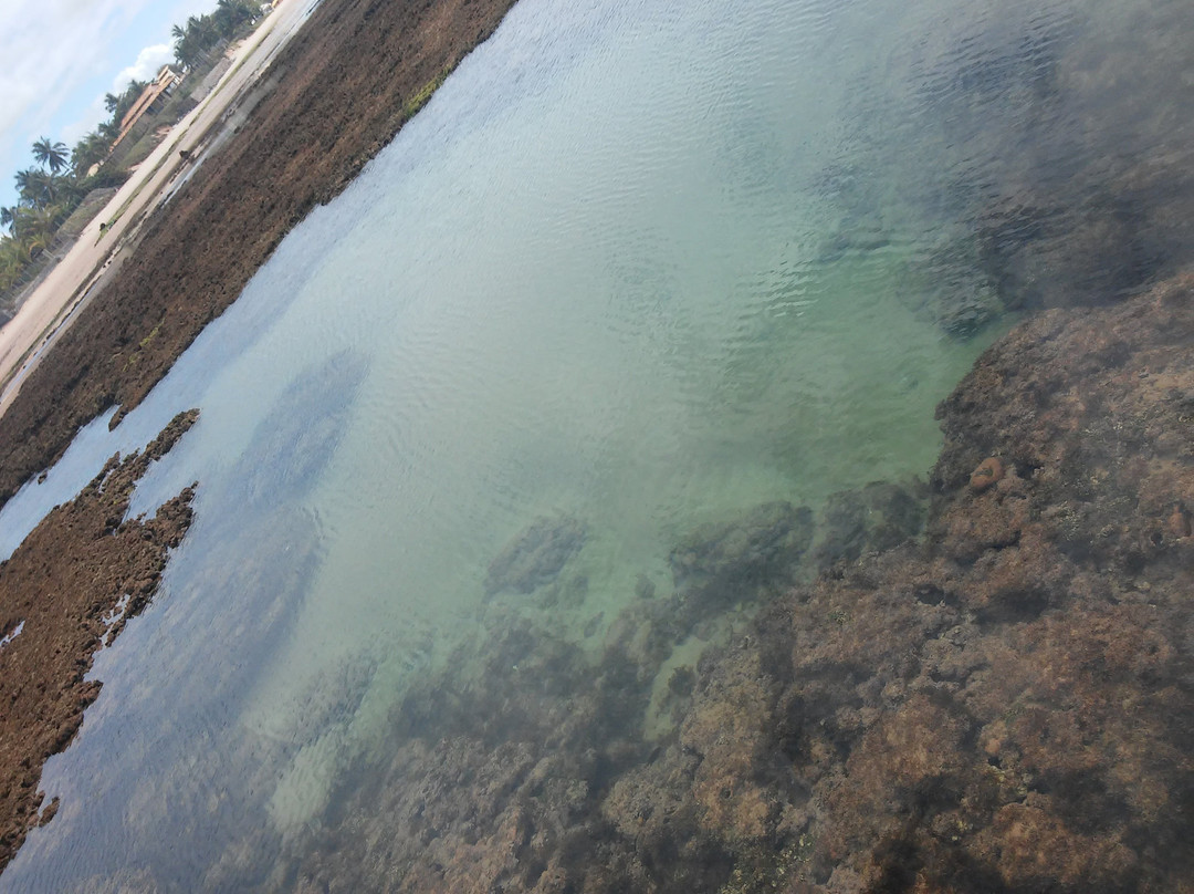 Piscinas Naturais-Camacari必去景点