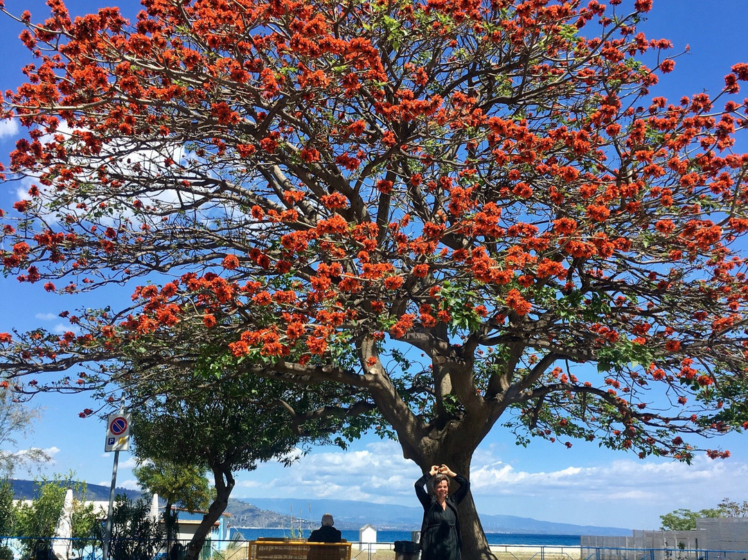 Soverato旅游攻略图片