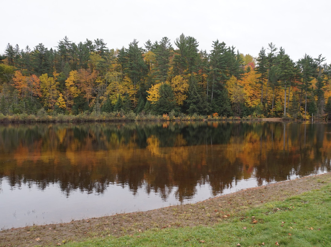 Kinsmen Park-苏圣玛丽必去景点