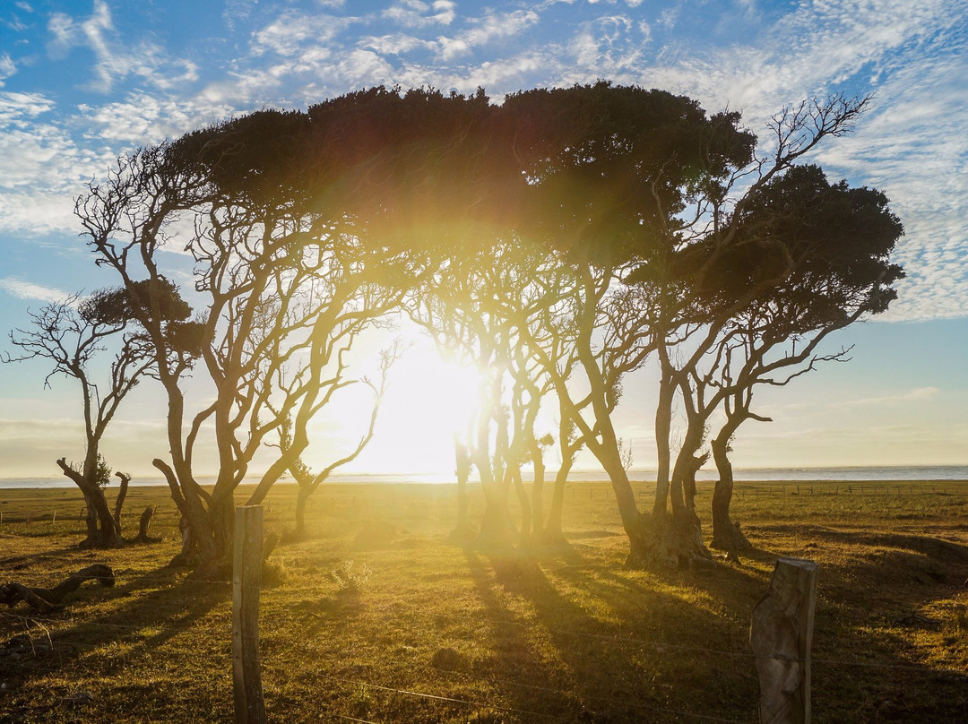 Isla Mocha-Tirua必去景点