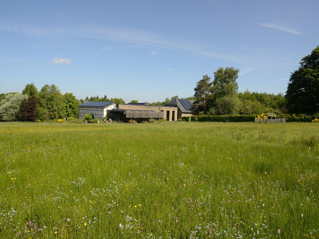 Musée de la Forêt et des Eaux "P.Noé"景点图片