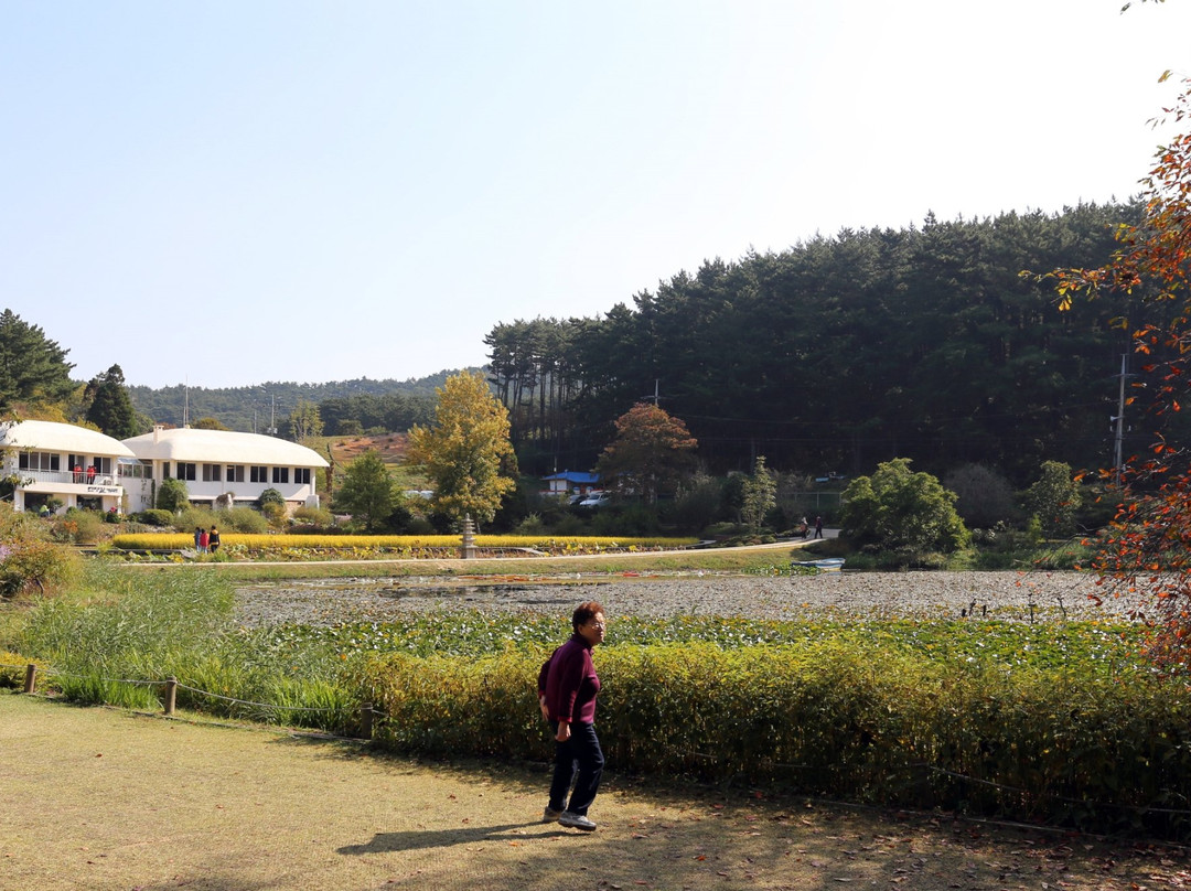 Chollipo Arboretum-泰安郡必去景点