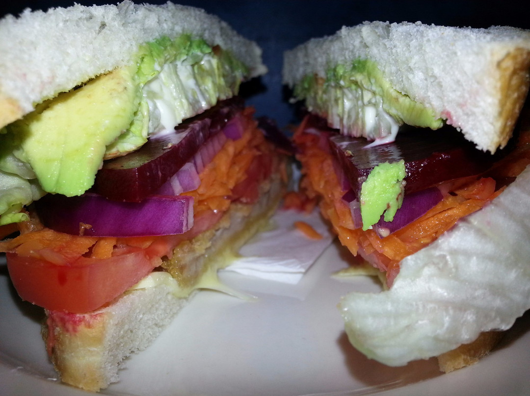 The Bendigo Fun Factory Indoor Play Centre-本迪戈必去景点