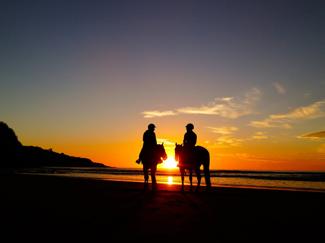 Surf & Turf Horse Riding Raglan-拉格伦必去景点