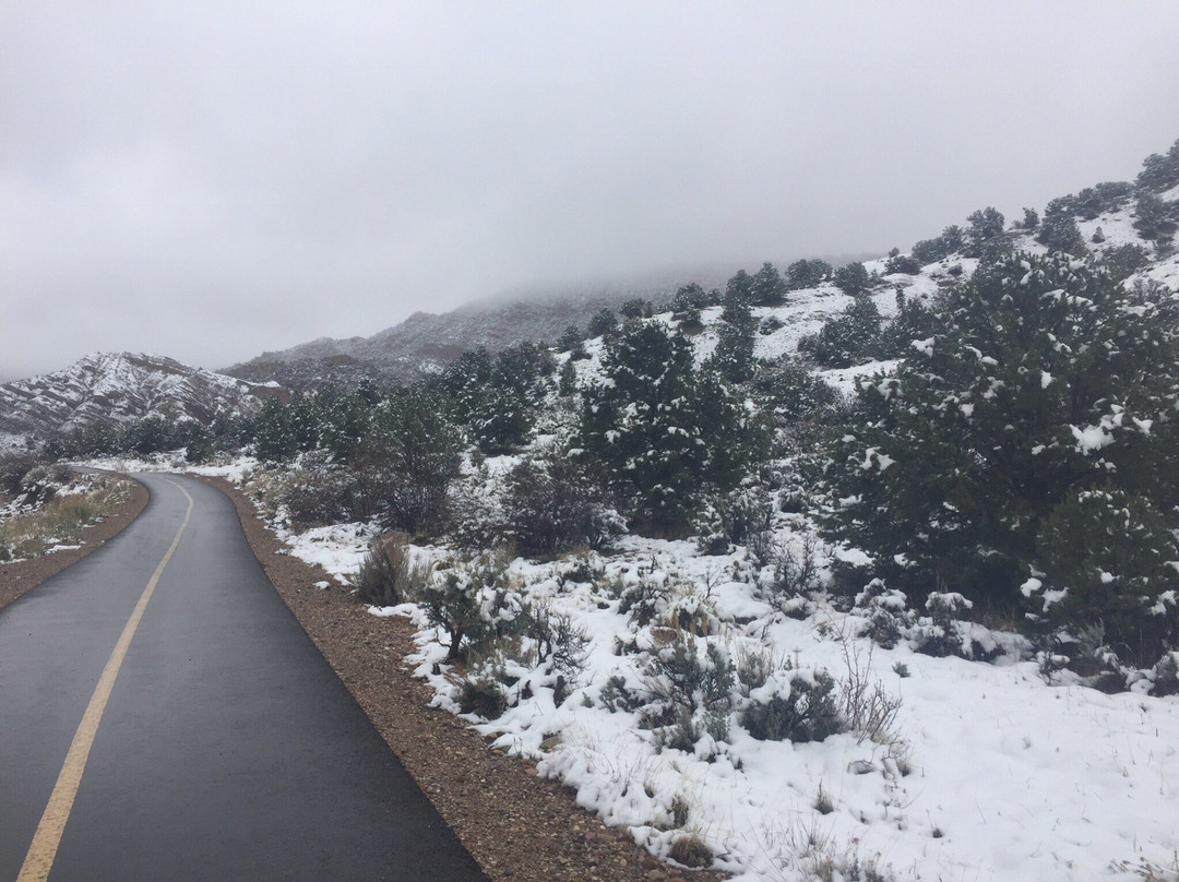 Coal Creek Trail-锡达城必去景点
