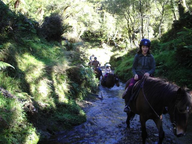 Horses @Pukatea Hill景点图片