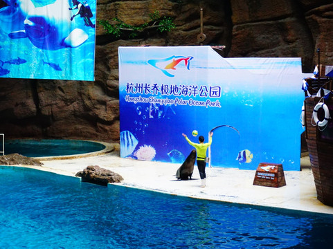 杭州极地海洋世界-杭州市必去景点