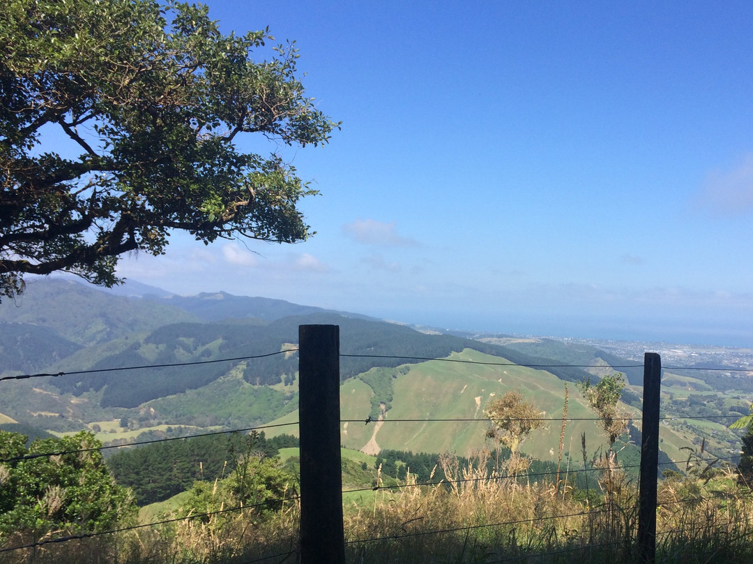 Hemi Matenga Memorial Park Scenic Reserve景点图片