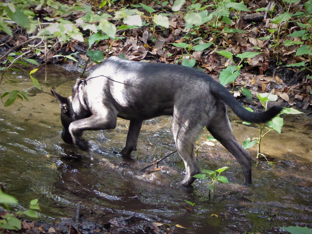 Little Big Econ State Forest-Geneva必去景点
