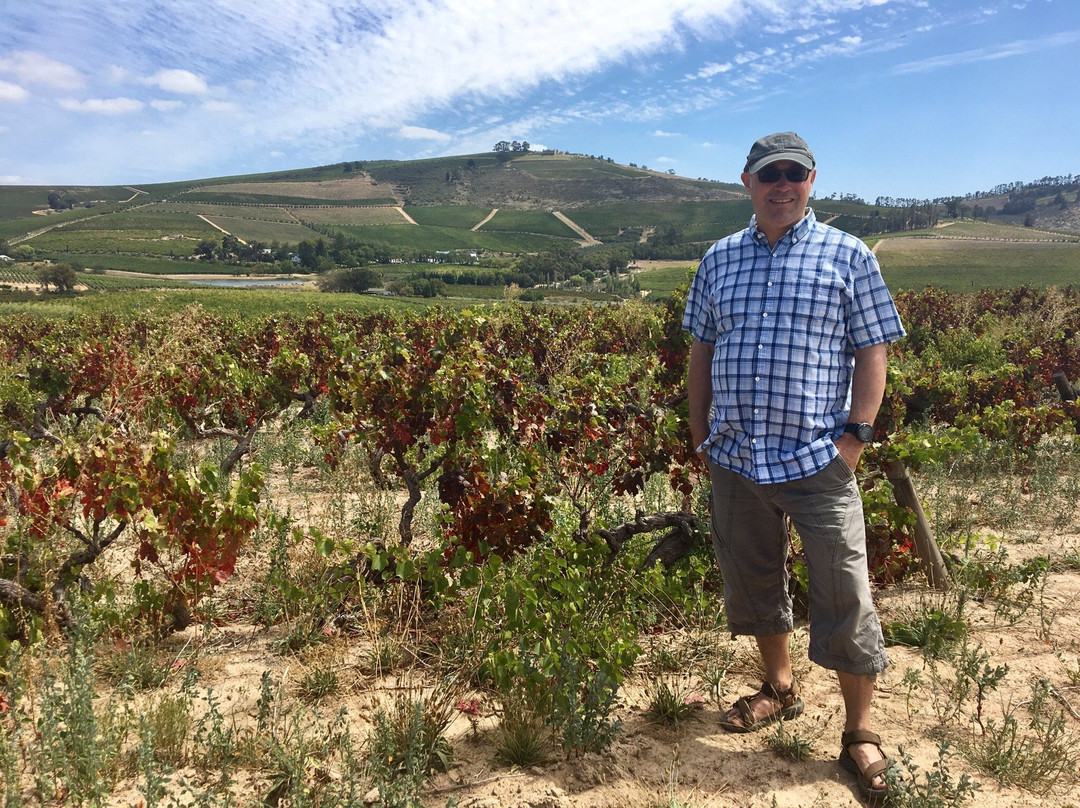 De Waal Wines-斯泰伦博斯必去景点