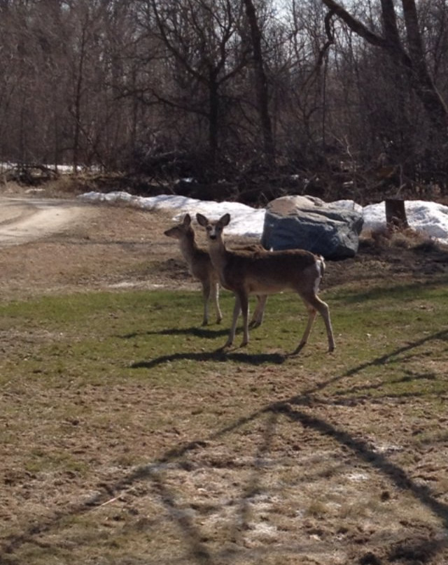 Island Park-Portage la Prairie必去景点