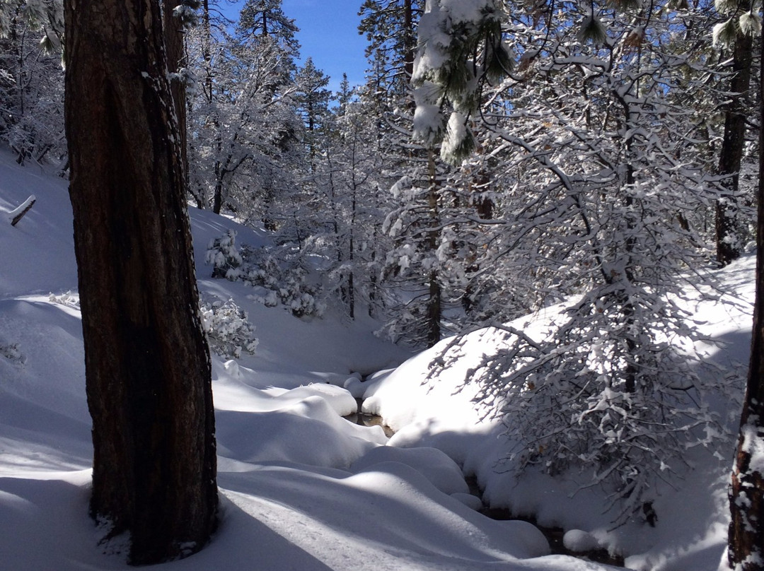Rim Nordic Cross Country Ski Center-Running Springs必去景点