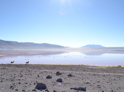 Senderos Naturales-基多必去景点