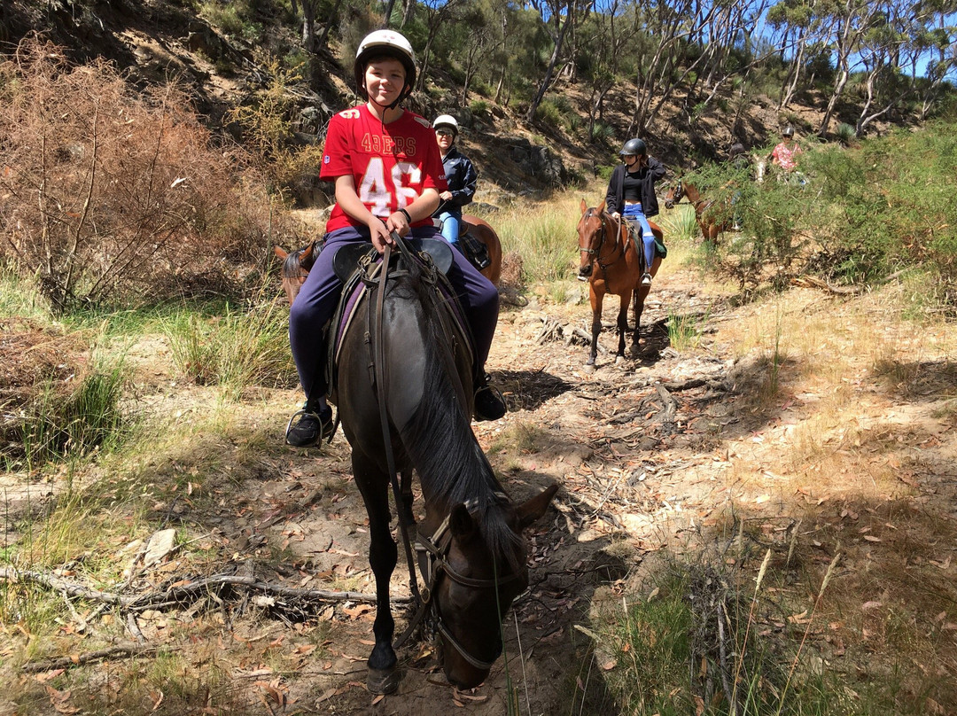 Tiger Trails-袋鼠岛必去景点