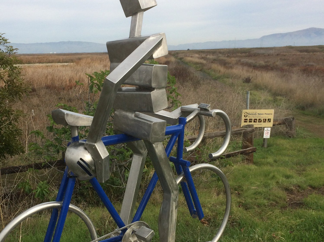 Bay Trail-山景城必去景点