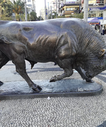 Kadikoy Istanbul Boğa Meydanı景点门票图片