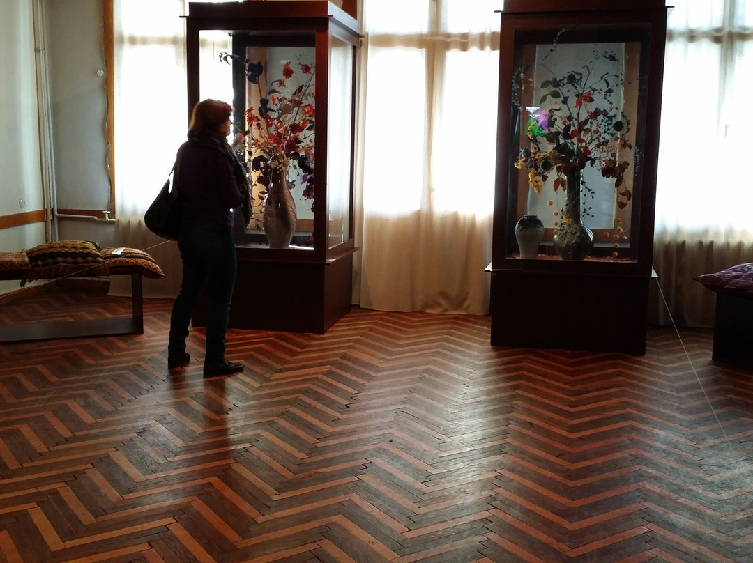 Art Museum Mikhail Bilas-特鲁斯卡韦茨必去景点