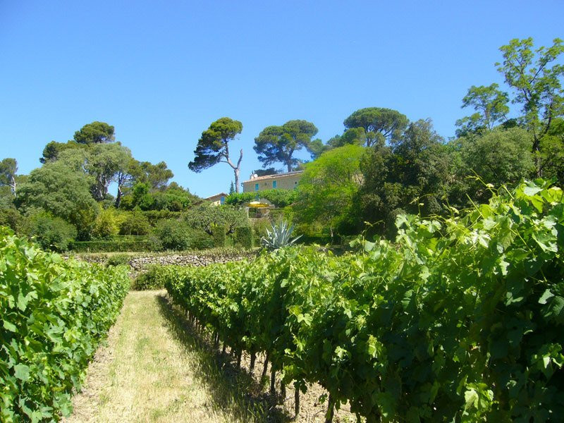 Domaine Verena Wyss-Gabian必去景点