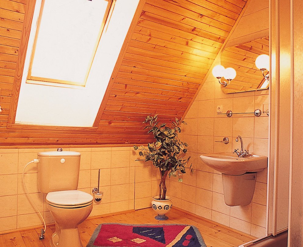 Mountain cottage Stara Horaren主图