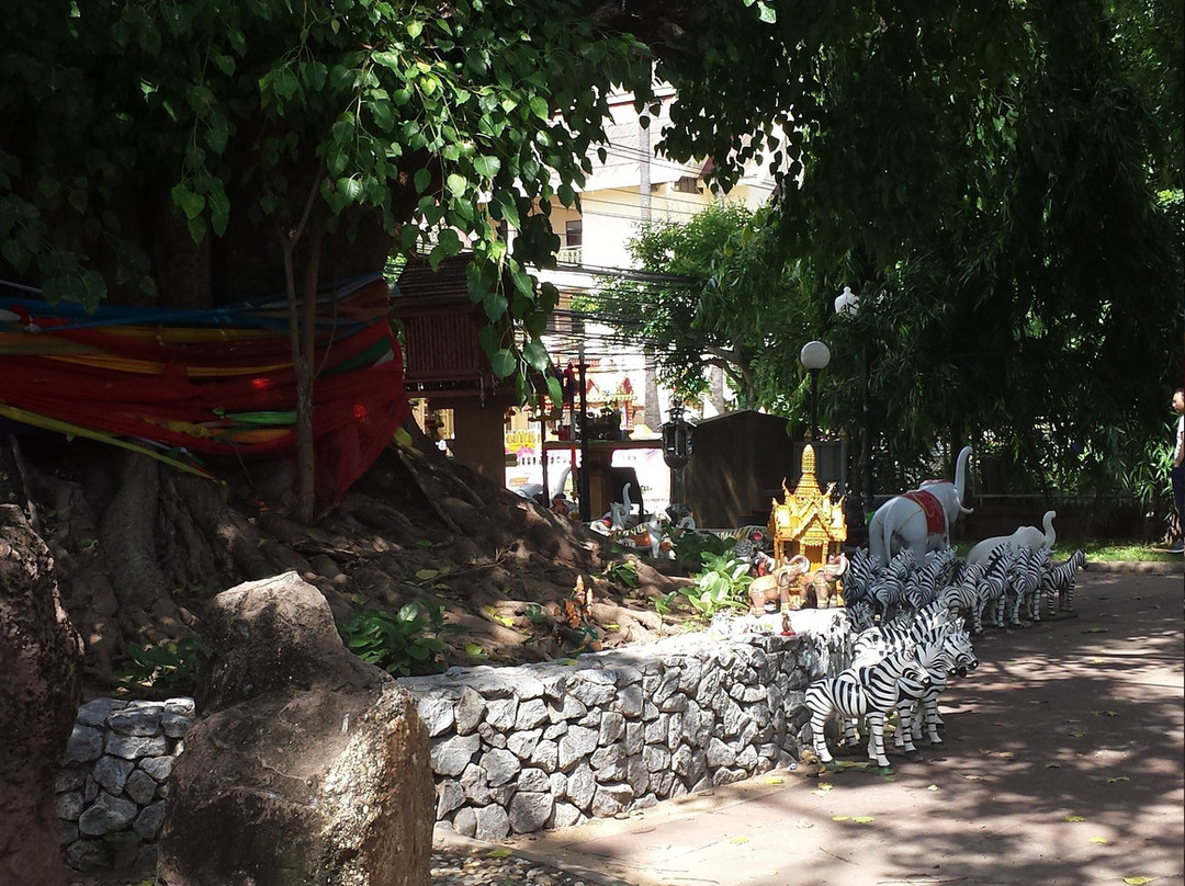 Si Maha Pho Tree景点图片